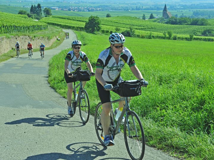 alsace vine cycling france holidays gallery