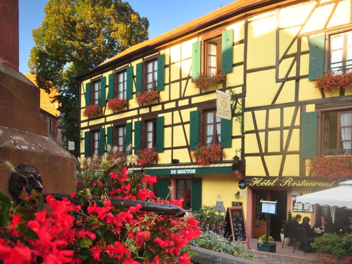 alsace restaurant cycling france holidays gallery